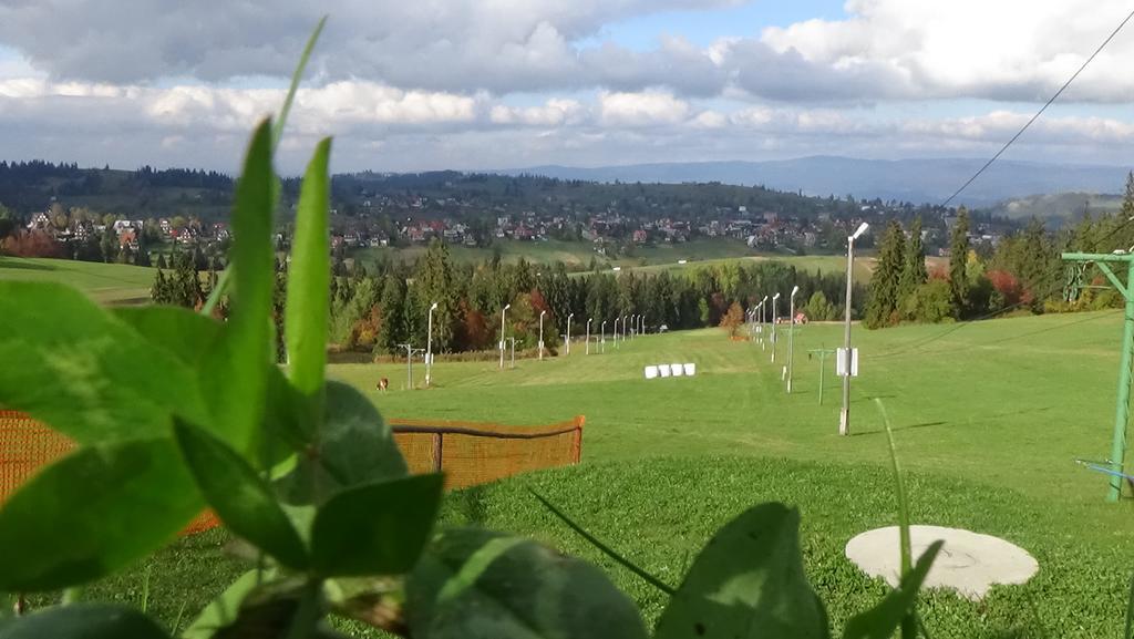 Ferienwohnung Wanta Bukowina Tatrzańska Exterior foto